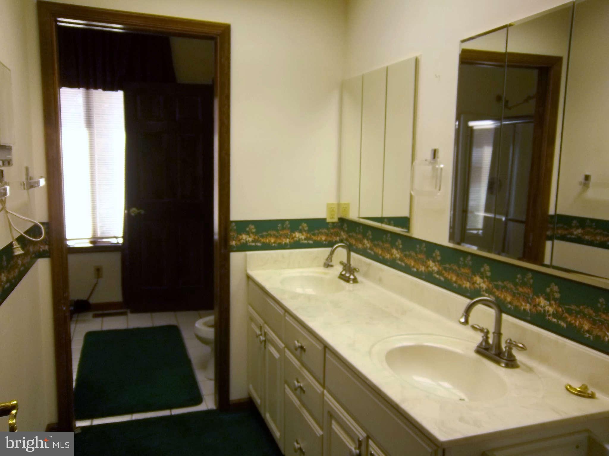 22 Adams Road Port Deposit, MD 21904 - Photo 25 of 30 Hall Bath Separated with Two Entrances