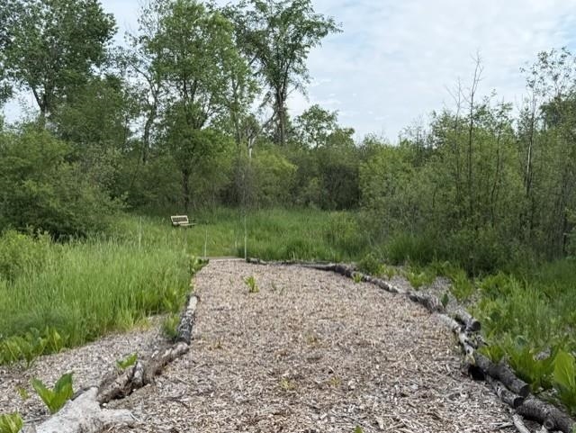 920 County Road West Wild Rose, WI 54984 - Photo 41 of 48