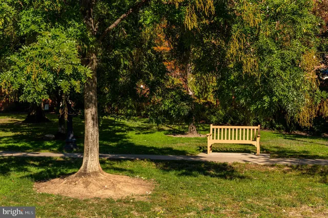 a view of a park with a bench
