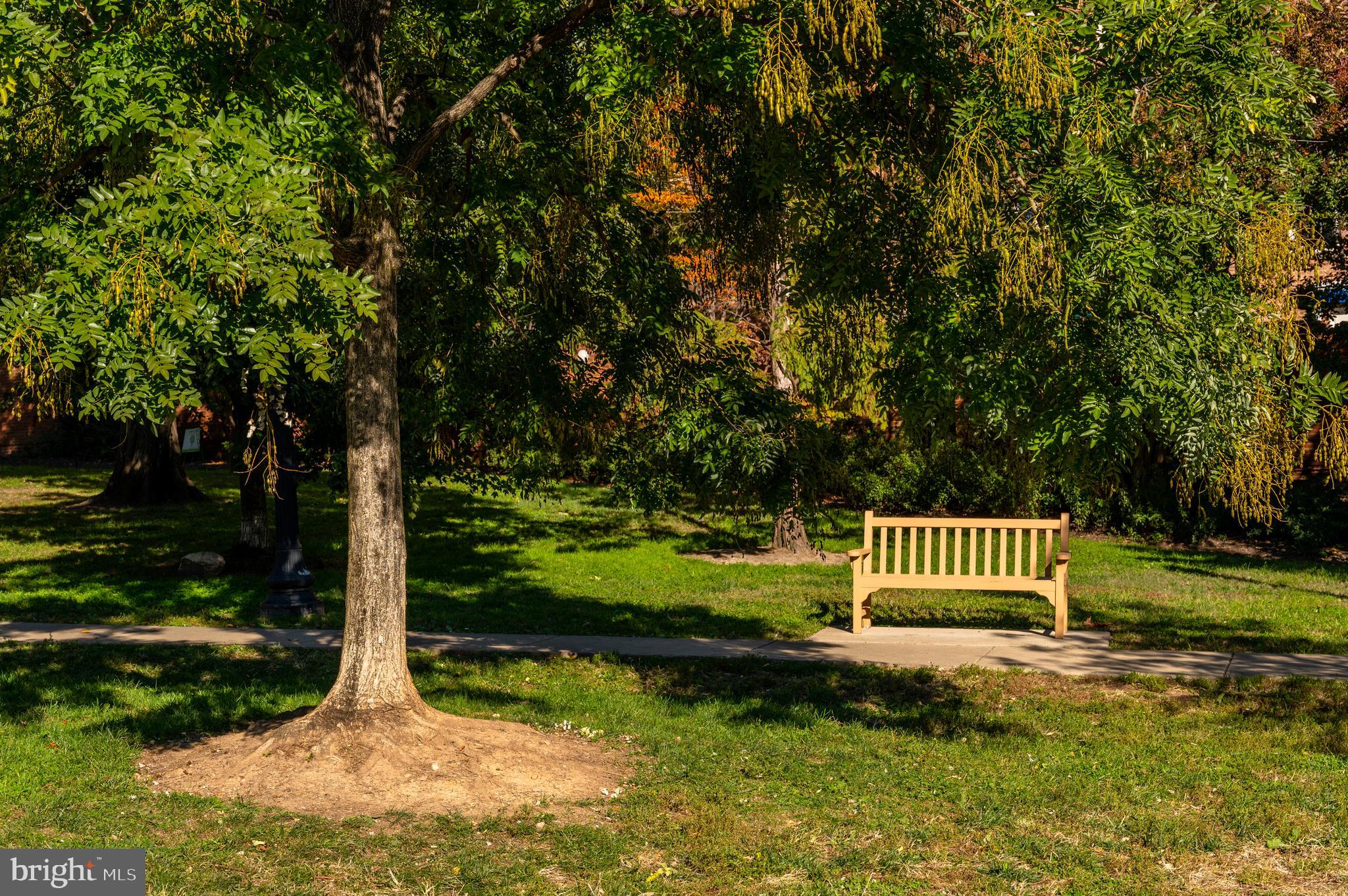 2150 Florida Avenue Northwest, Unit 1 Washington, DC 20008 - Photo 21 of 23 a view of a park with a bench