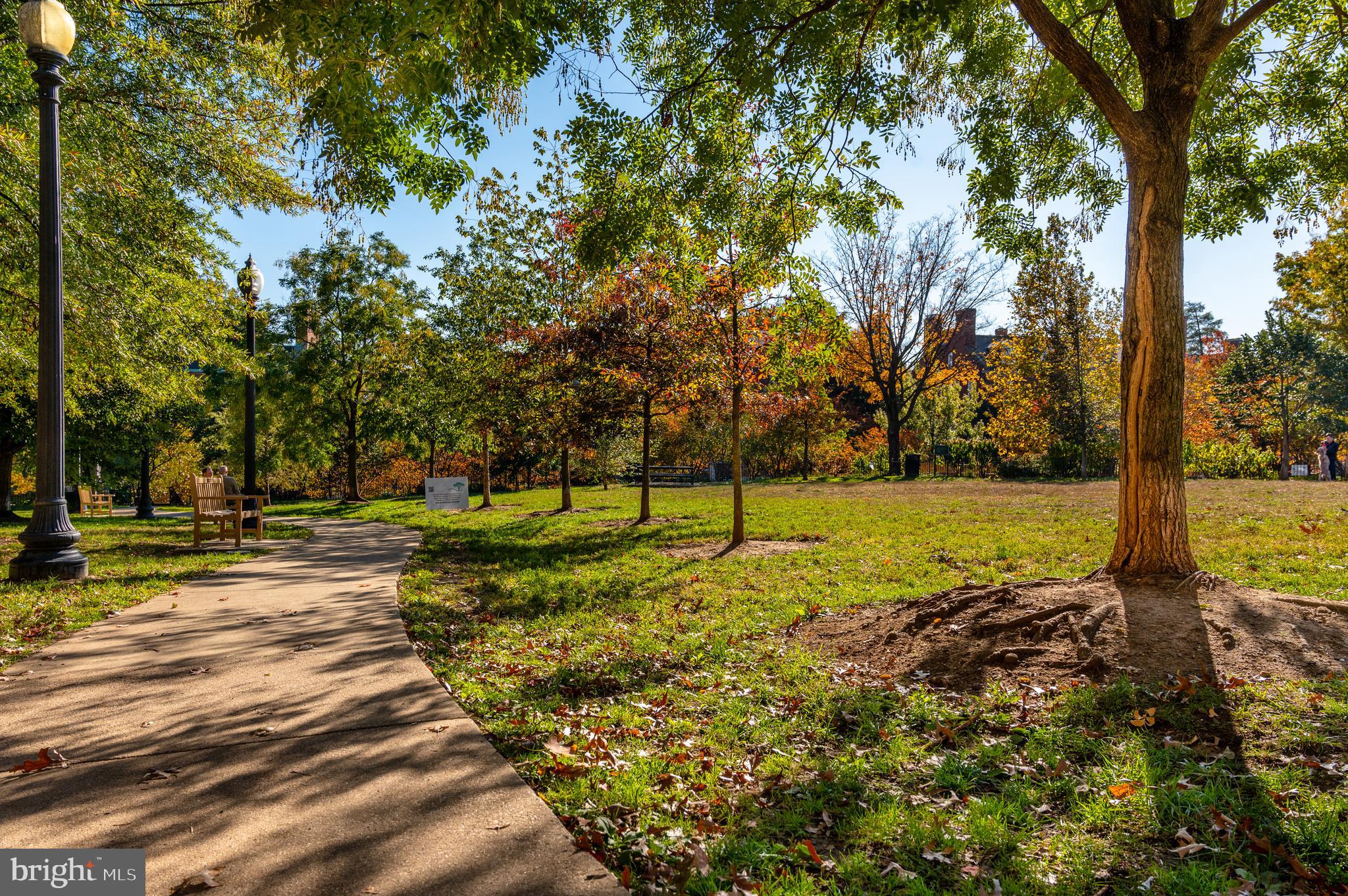 2150 Florida Avenue Northwest, Unit 1 Washington, DC 20008 - Photo 22 of 23 a view of a park with large trees
