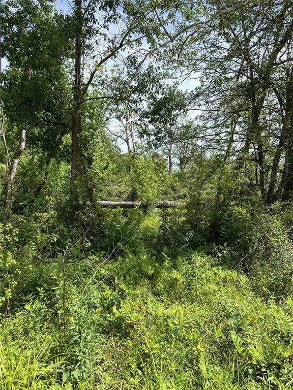 Lot 59 Fletchers Isle Road Ponchatoula, LA 70454 - Photo 5 of 8