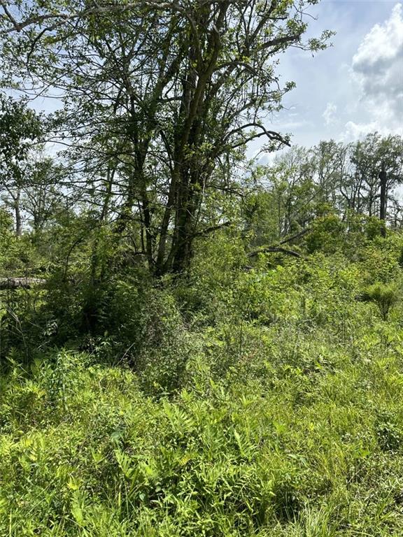 Lot 59 Fletchers Isle Road Ponchatoula, LA 70454 - Photo 7 of 8