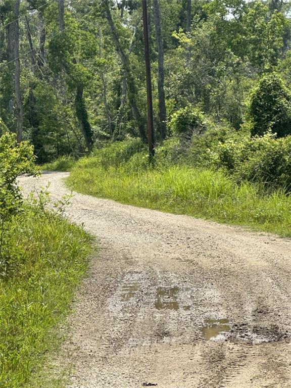Lot 59 Fletchers Isle Road Ponchatoula, LA 70454 - Photo 8 of 8