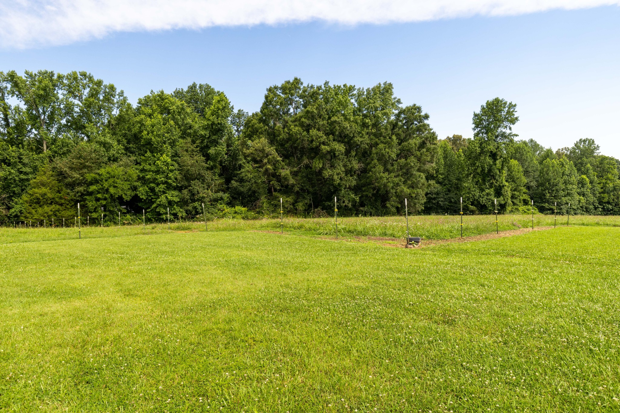 2325 Old Well Road Morrison, TN 37357 - Photo 7 of 38