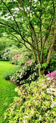 $65,000 | 70 South Country Road, Bellport, NY 11713