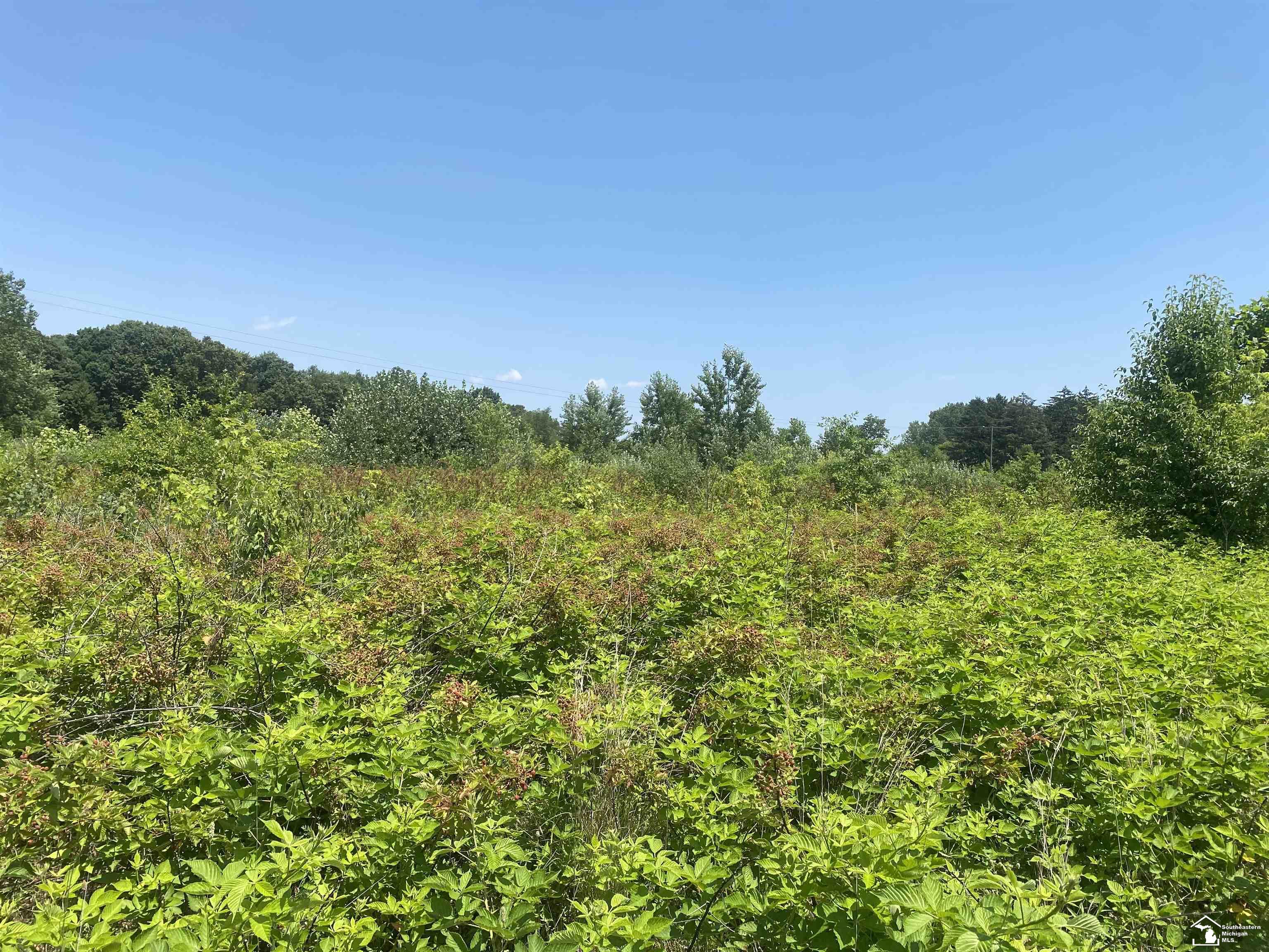 2 Morocco Road Temperance, MI 48182 - Photo 3 of 10