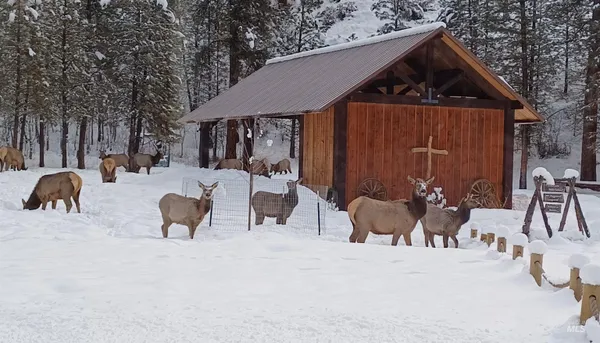 $1,800,000 | 3193 Highway 21, Boise, ID 83716