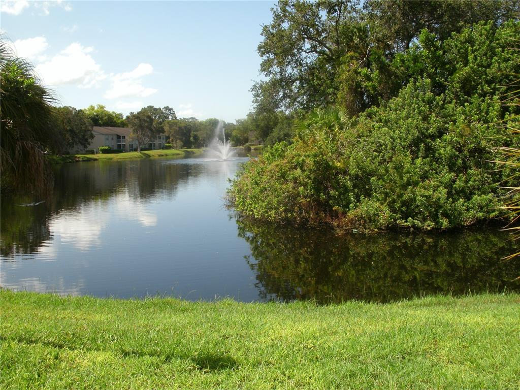 5310 26th Street West, Unit 1105 Bradenton, FL 34207 - Photo 13 of 13