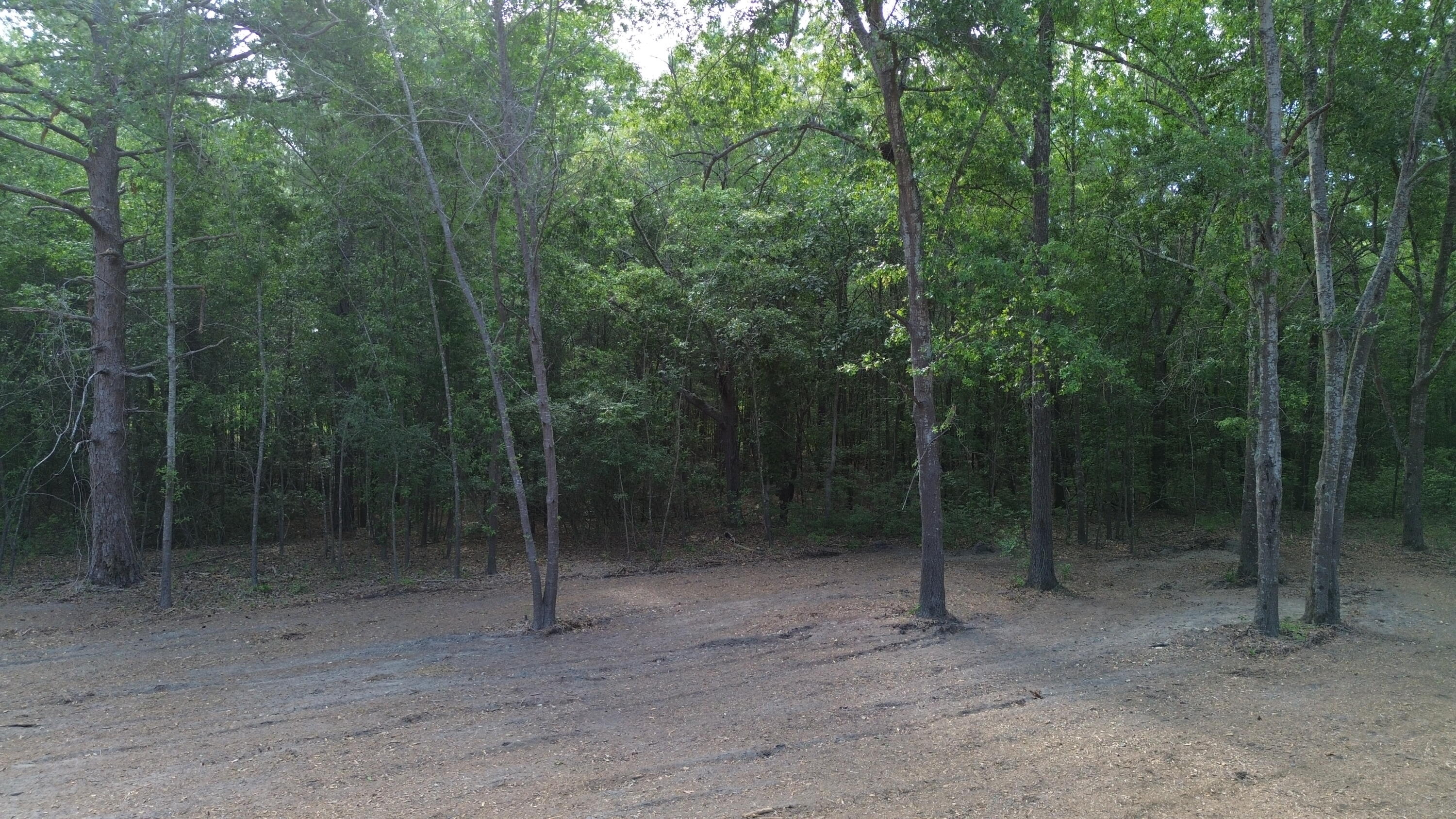 3 Trojan Road Cross, SC 29436 - Photo 17 of 21