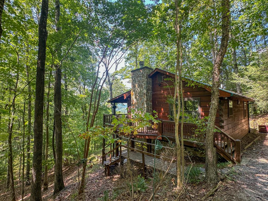 423 Laurel Creek Road Blue Ridge, GA 30513 - Photo 1 of 36 Main View