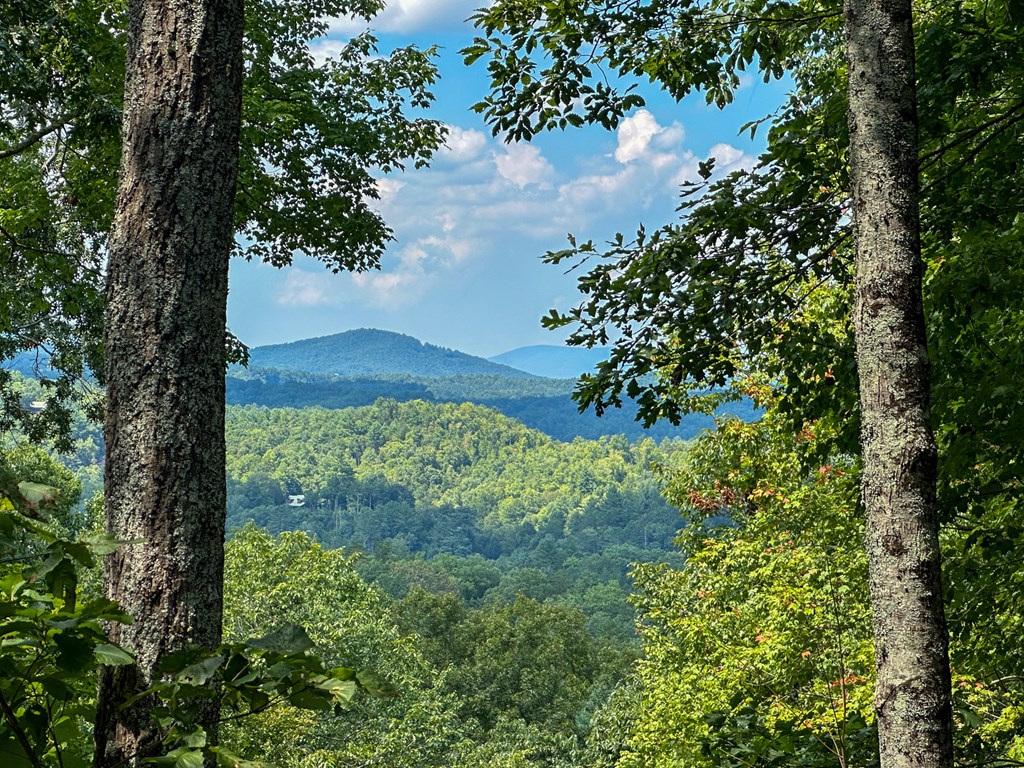 423 Laurel Creek Road Blue Ridge, GA 30513 - Photo 2 of 36