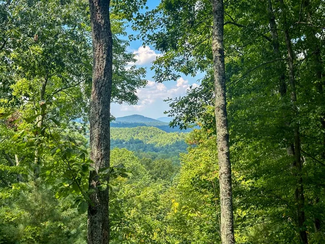 a view of balcony with wooden floor