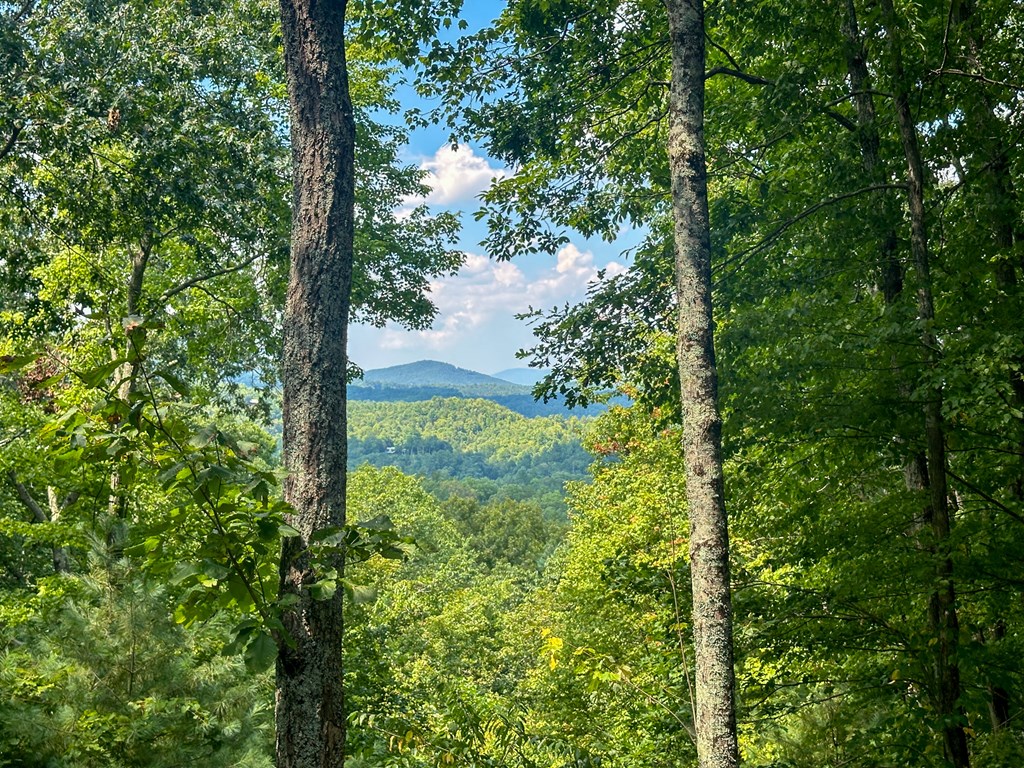423 Laurel Creek Road Blue Ridge, GA 30513 - Photo 3 of 36