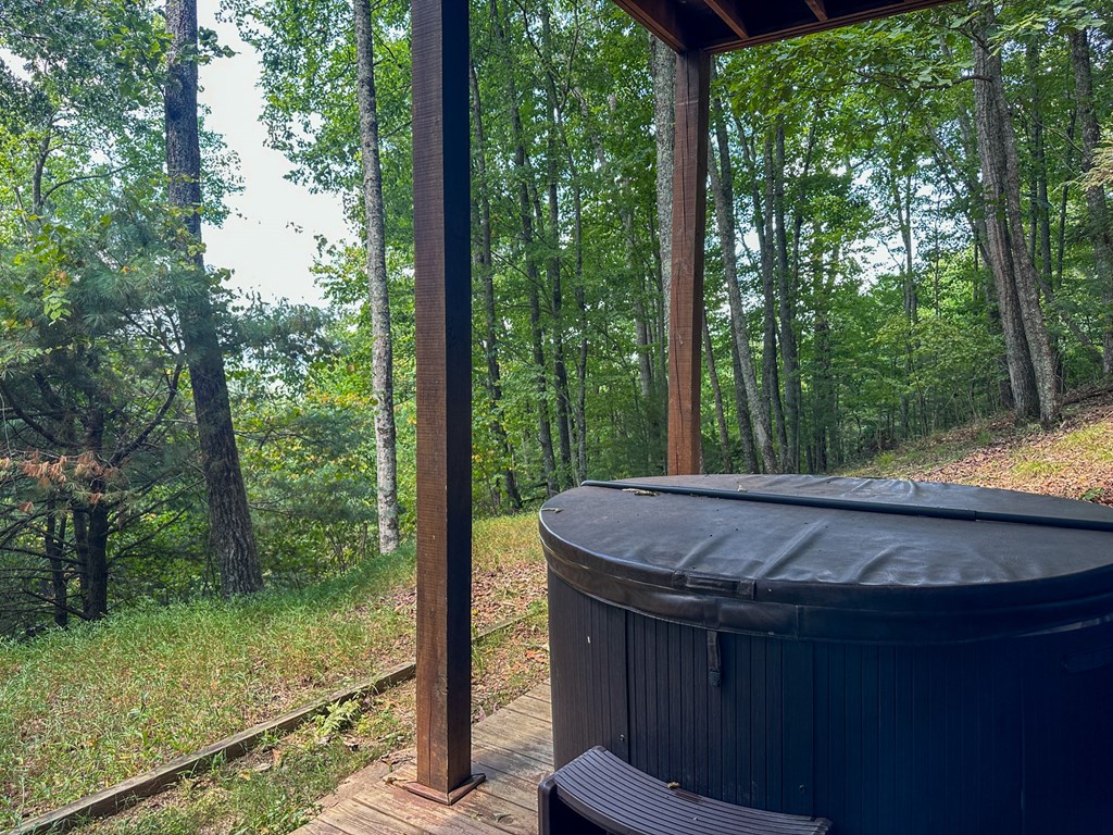 423 Laurel Creek Road Blue Ridge, GA 30513 - Photo 34 of 36