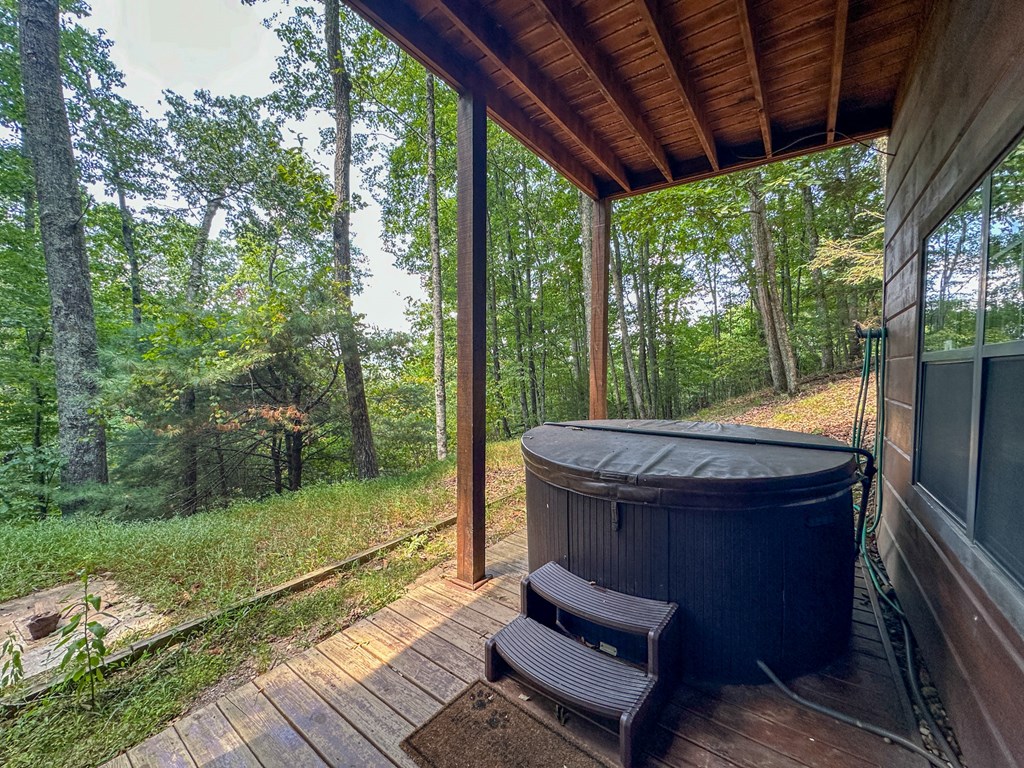 423 Laurel Creek Road Blue Ridge, GA 30513 - Photo 35 of 36