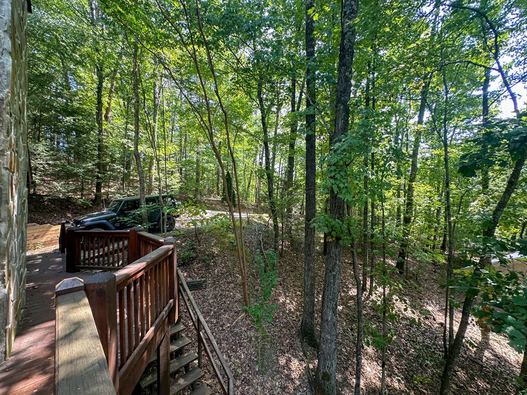 423 Laurel Creek Road Blue Ridge, GA 30513 - Photo 5 of 36