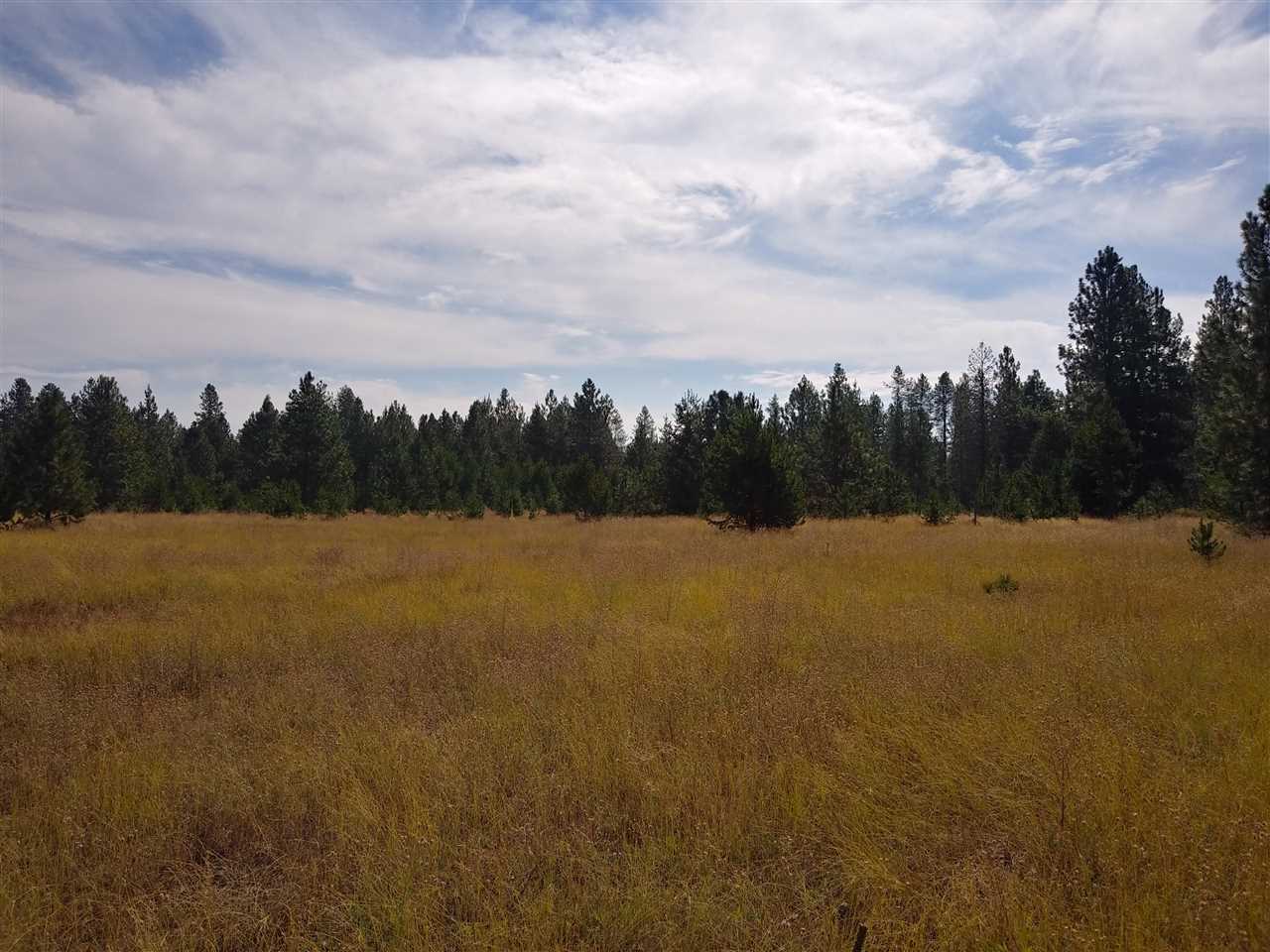 12812 East Bridges Road Elk, WA 99009 - Photo 8 of 15 Gallery Image 8