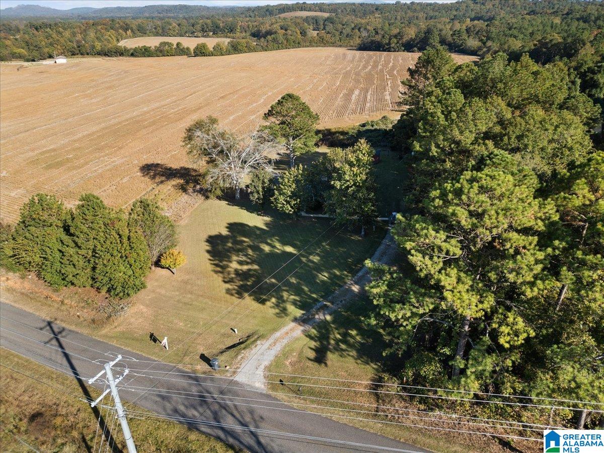 2296 Holly Hills Road Lincoln, AL 35096 - Photo 23 of 31
