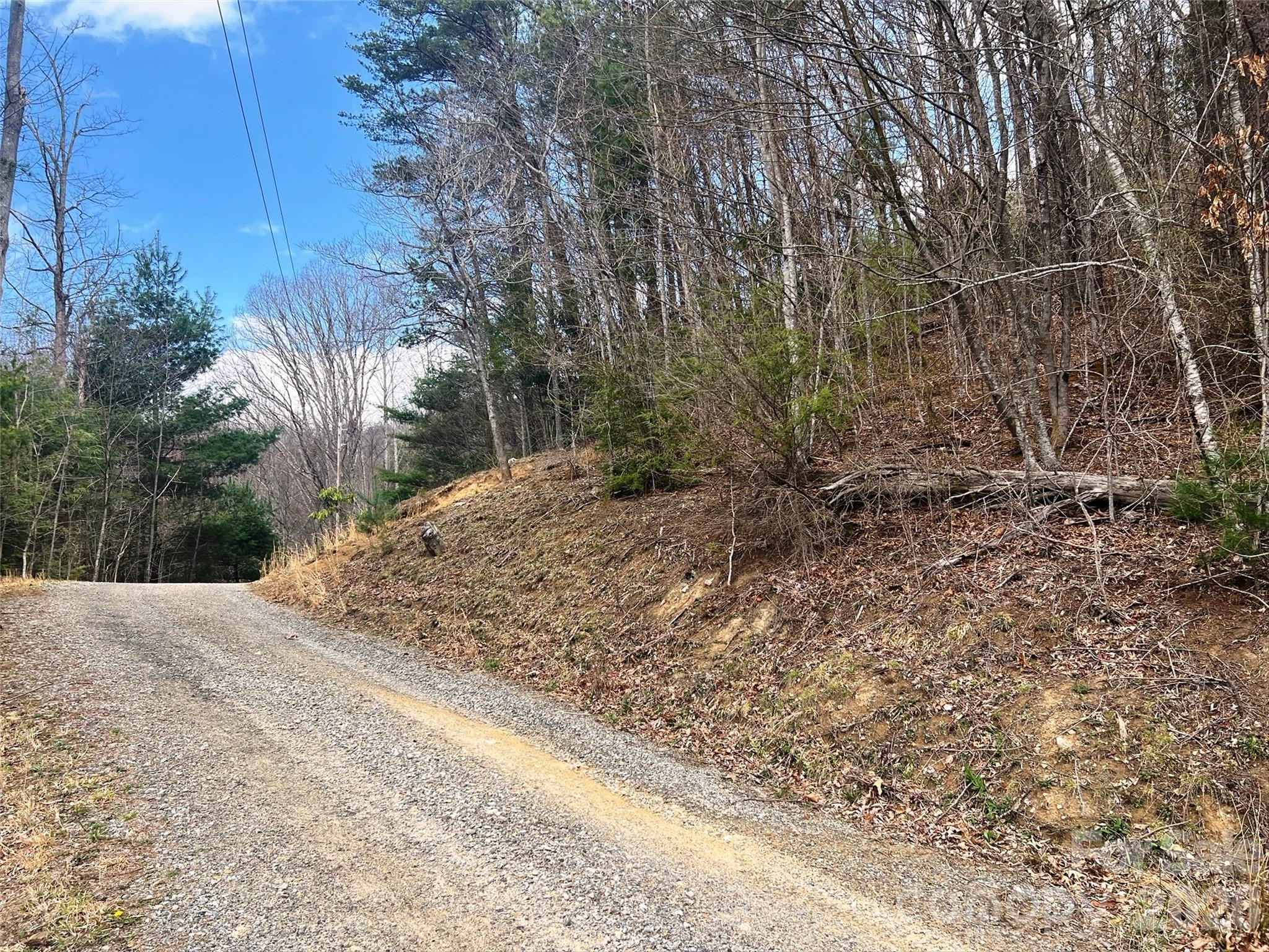 Tbd Moonbeam Lane, Unit 101 102 Clyde, NC 28721 - Photo 13 of 20 a view of a yard with plants and trees