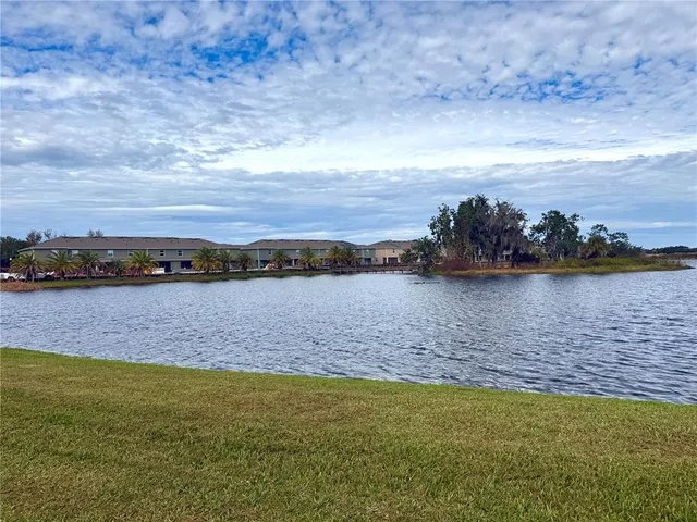 a view of a park with large trees