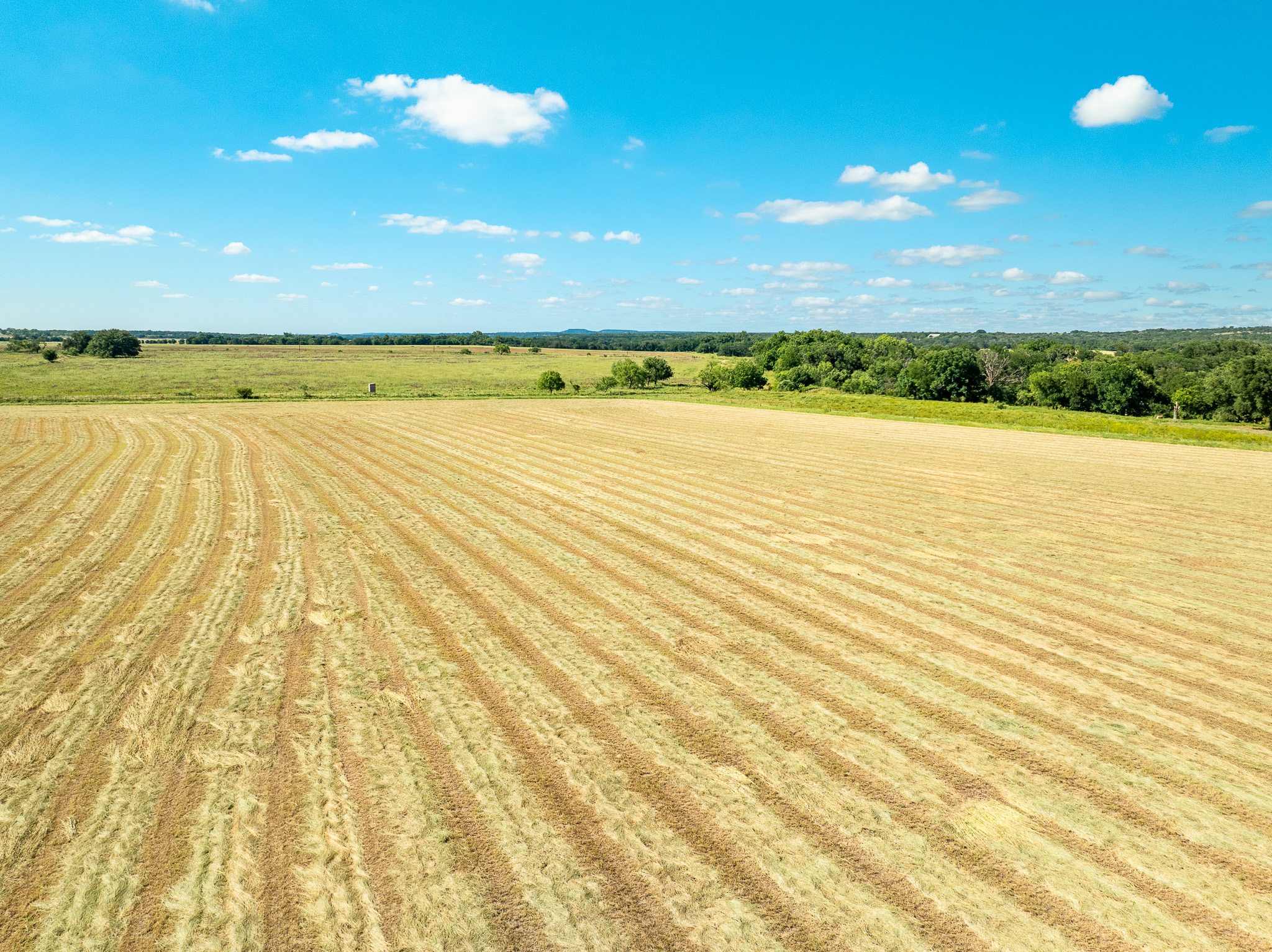 8044 580th Street East Kempner, TX 76539 - Photo 25 of 40 Discover vast, open acreage with abundant potential for agricultural pursuits.