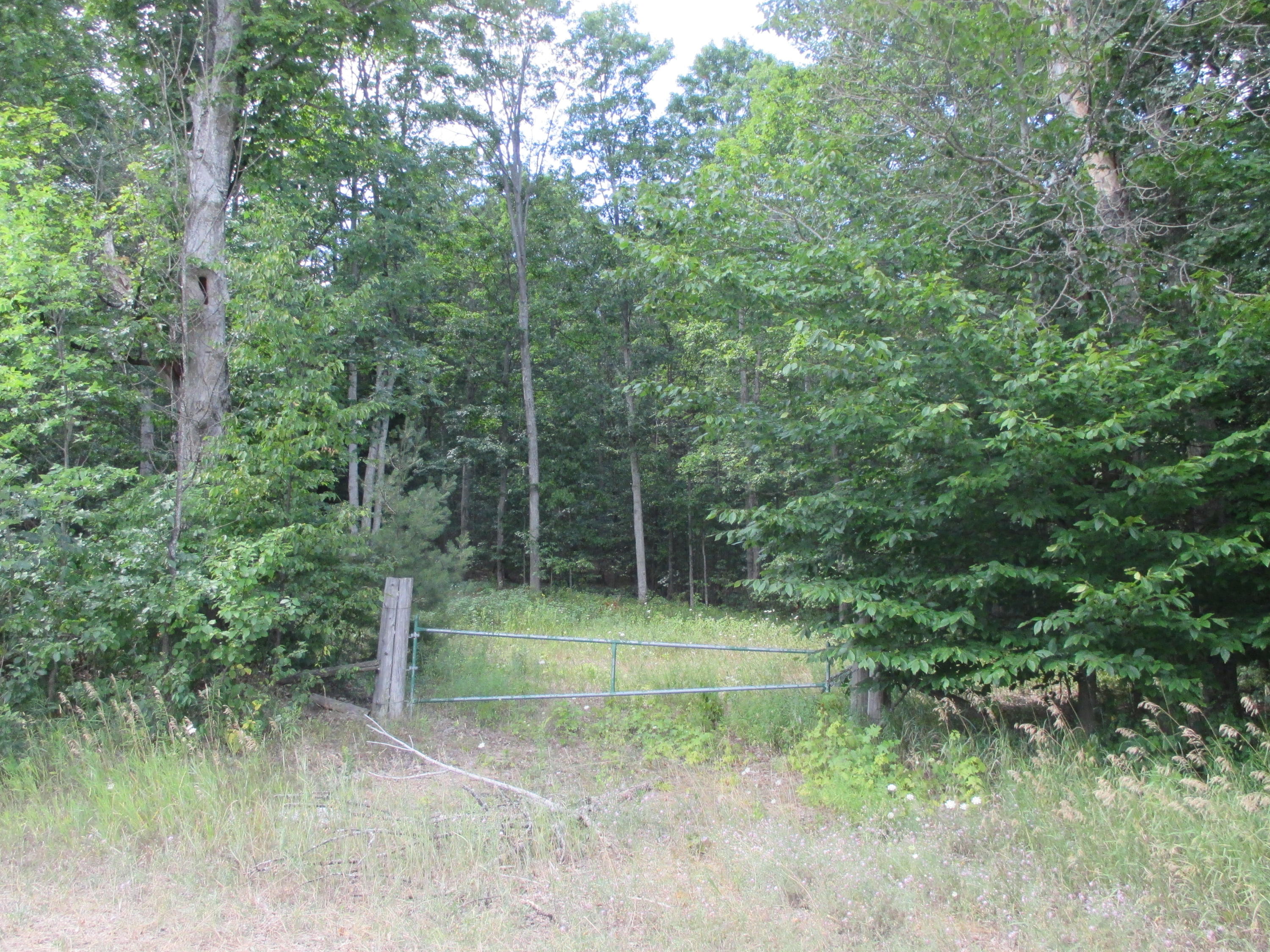 966 Sparr Road Gaylord, MI 49735 - Photo 5 of 7 Gallery Image 5