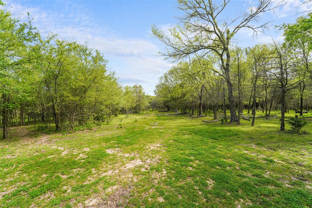 9764 Cr 2422 Road Rowlett, TX 75089 - Photo 11 of 25