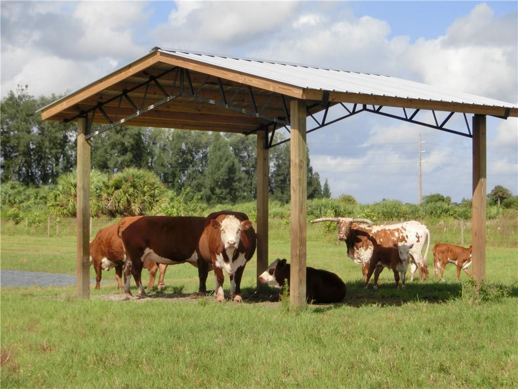 Russakis Road Fort Pierce, FL 34951 - Photo 8 of 14 Photo 8
