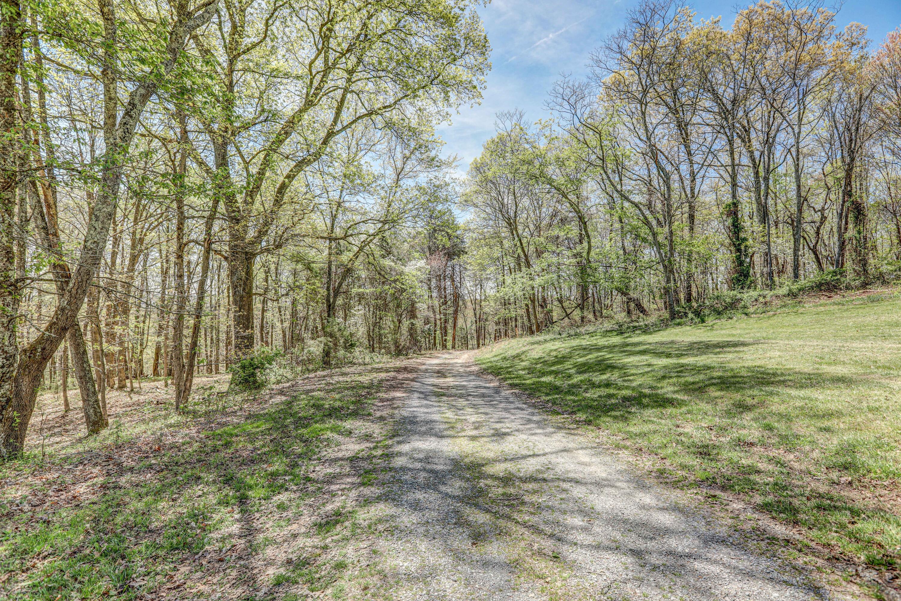 311 Magnolia Road Rogersville, TN 37857 - Photo 24 of 86 B42A3656_57_58_59_60