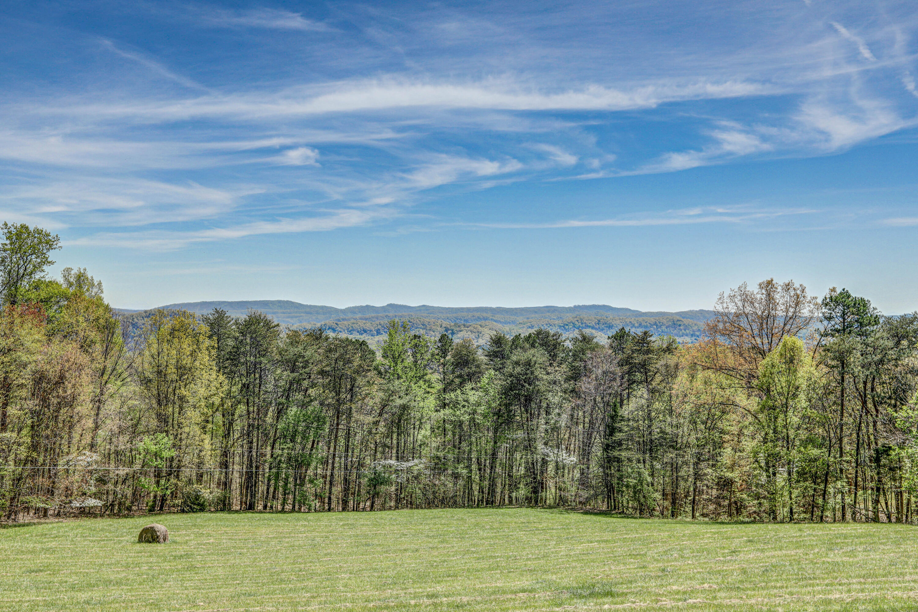 311 Magnolia Road Rogersville, TN 37857 - Photo 27 of 86 B42A3861_2_3_4_5