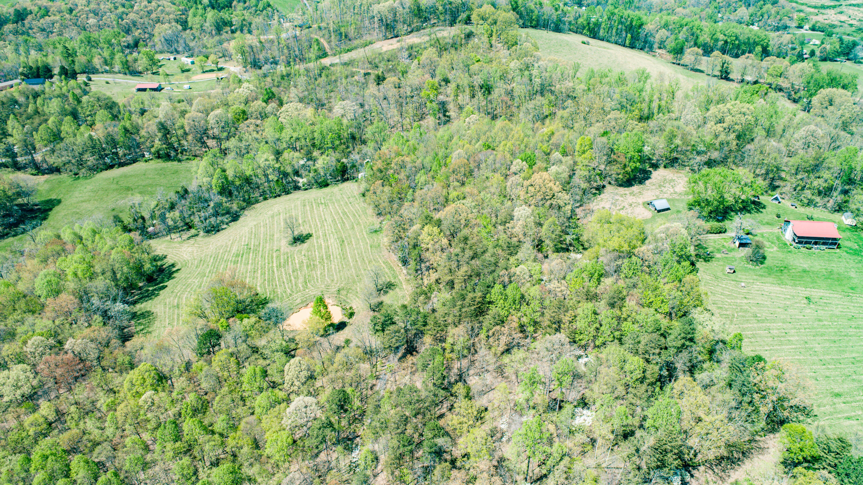 311 Magnolia Road Rogersville, TN 37857 - Photo 73 of 86 DJI_0004