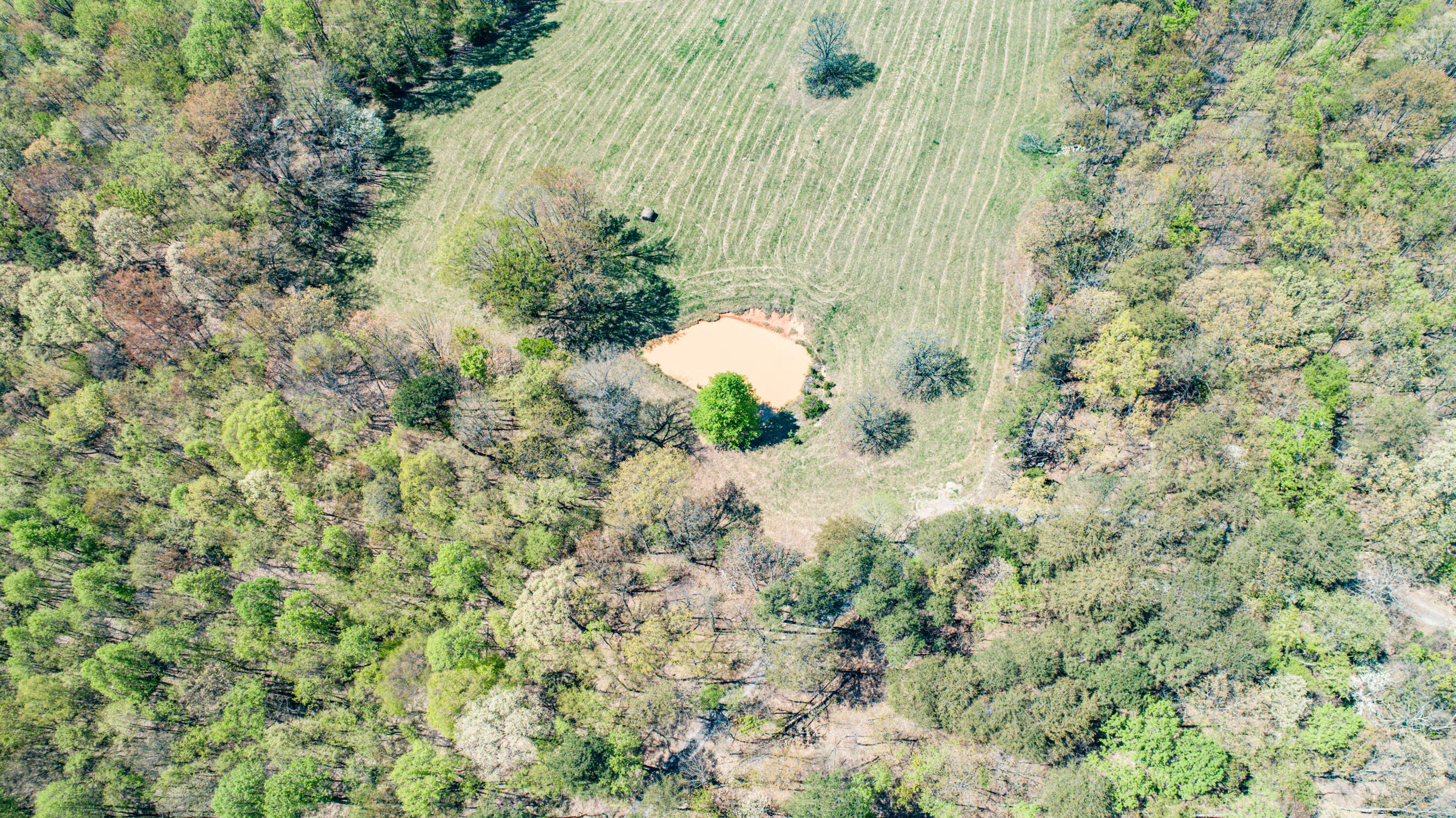 311 Magnolia Road Rogersville, TN 37857 - Photo 74 of 86 DJI_0005