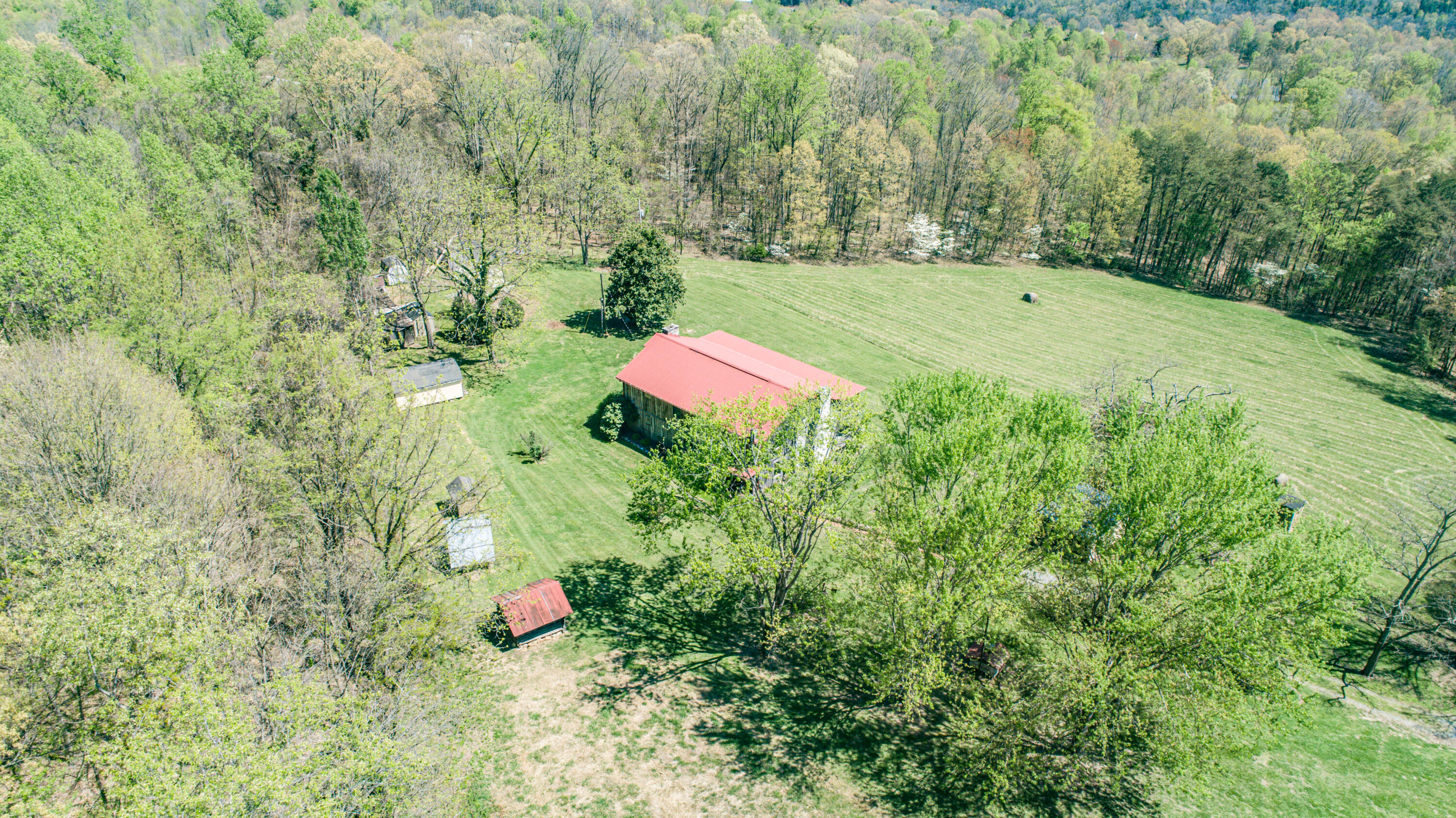 311 Magnolia Road Rogersville, TN 37857 - Photo 86 of 86 DJI_0020