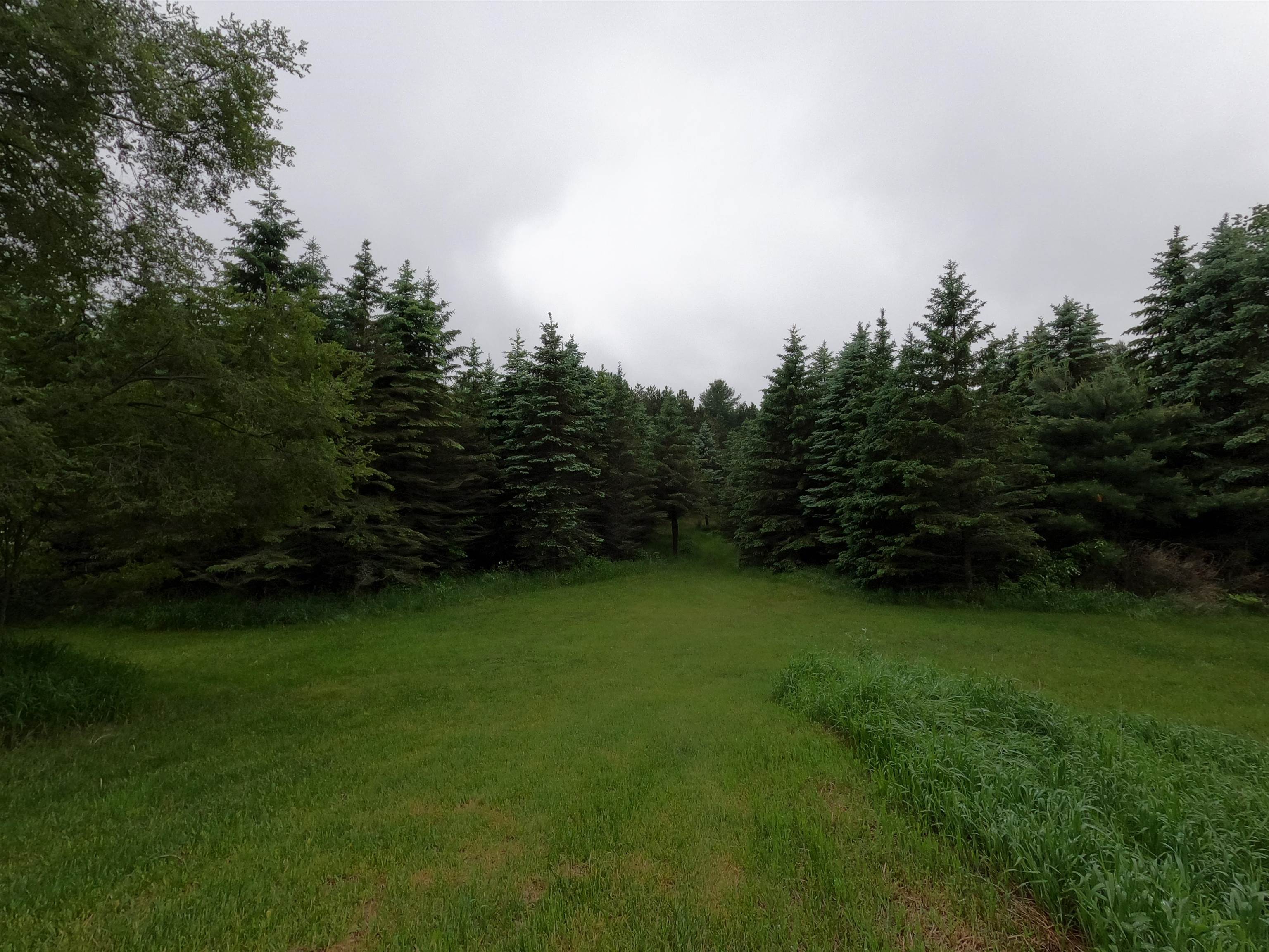 2779 Five Mile Road Traverse City, MI 49686 - Photo 11 of 19 1901192-10.JPG