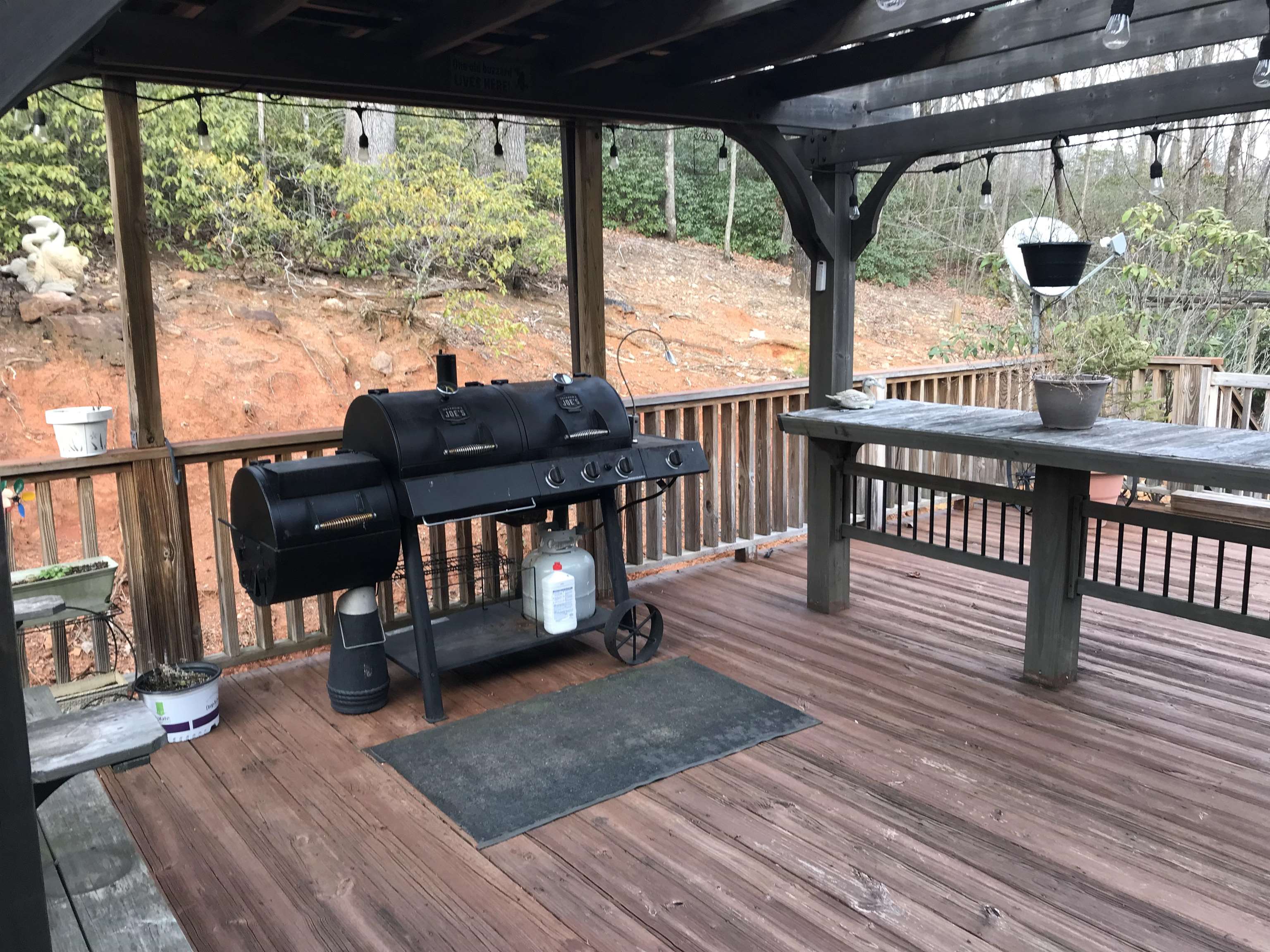 197 Dug Hill Road Landrum, SC 29356 - Photo 3 of 28 Gallery Image 3