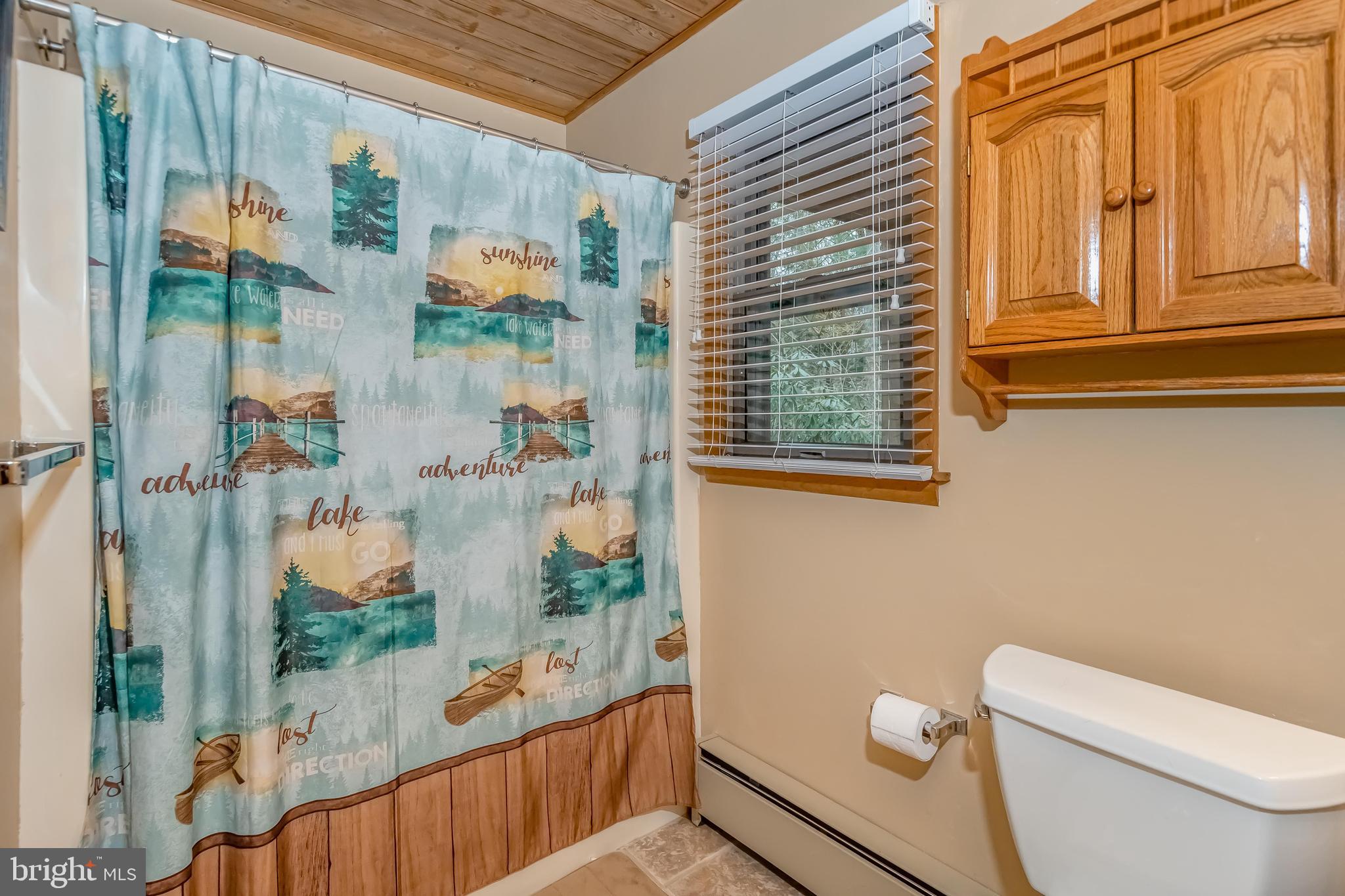 483 Skippers Point Road Oakland, MD 21550 - Photo 17 of 53 Main Level Bathroom