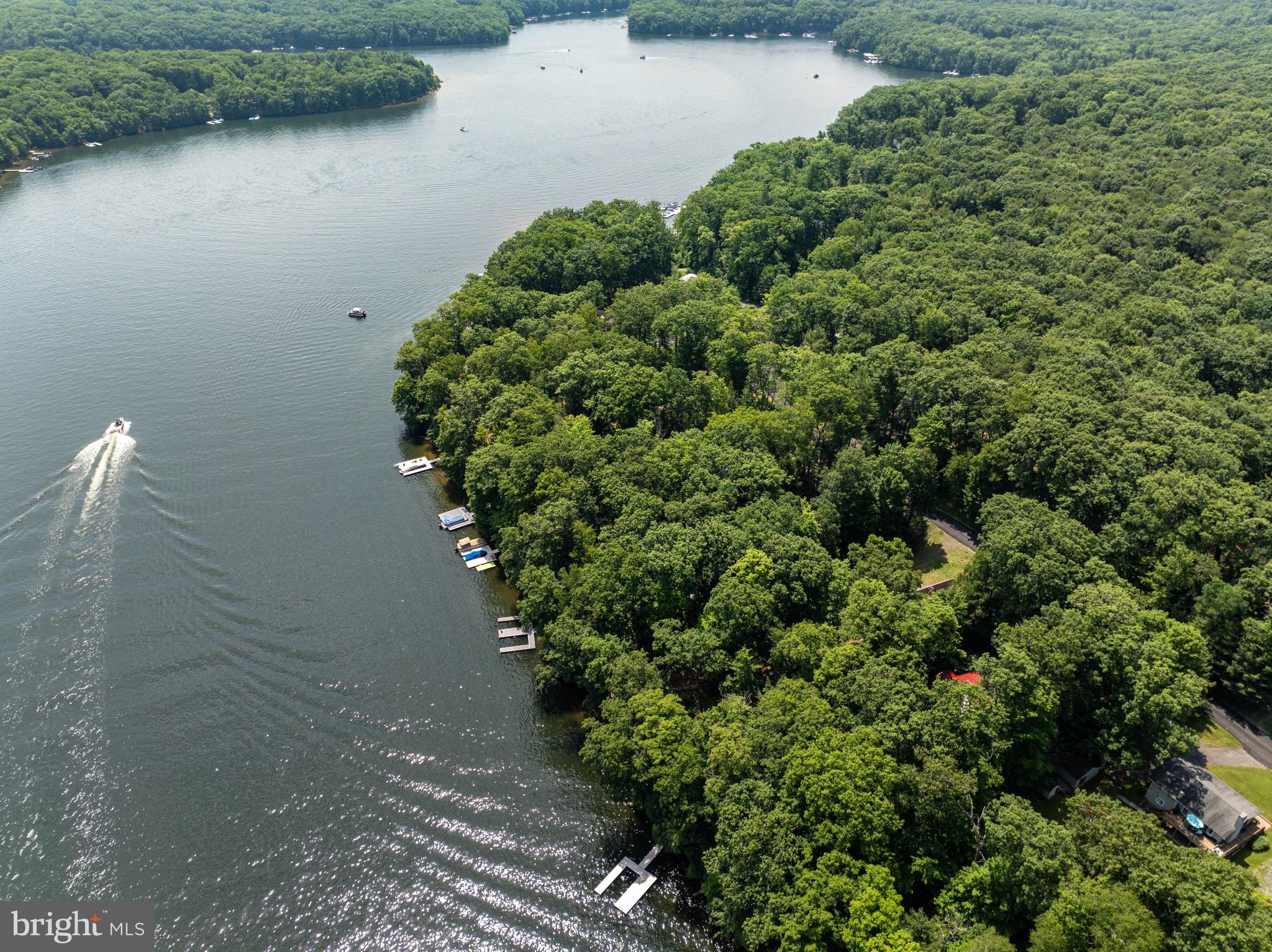 483 Skippers Point Road Oakland, MD 21550 - Photo 2 of 53 100 feet of Lakefront near the DCL Dam!