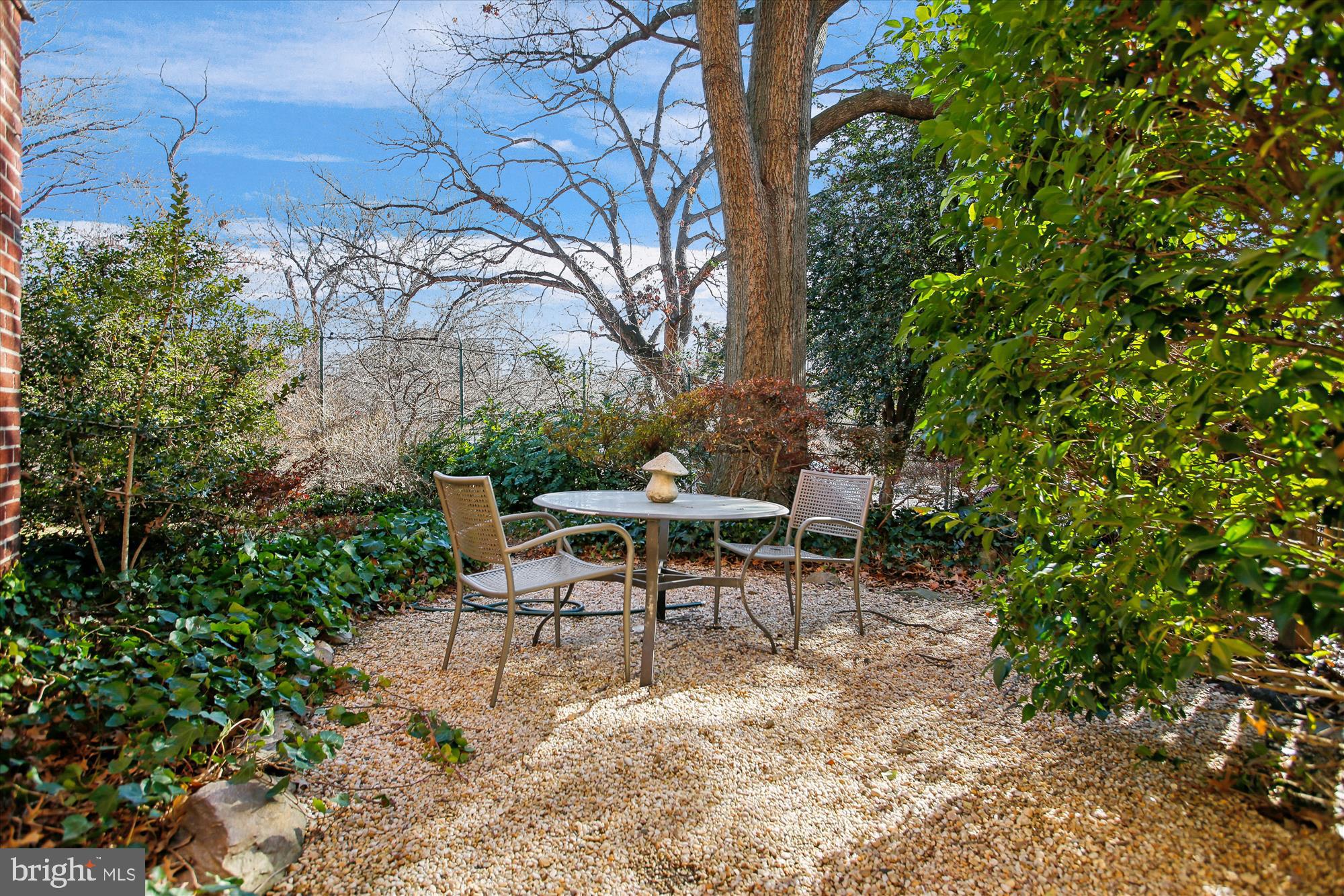 2500 Q Street Northwest, Unit 112 Washington, DC 20007 - Photo 13 of 19 a view of a bench in a garden
