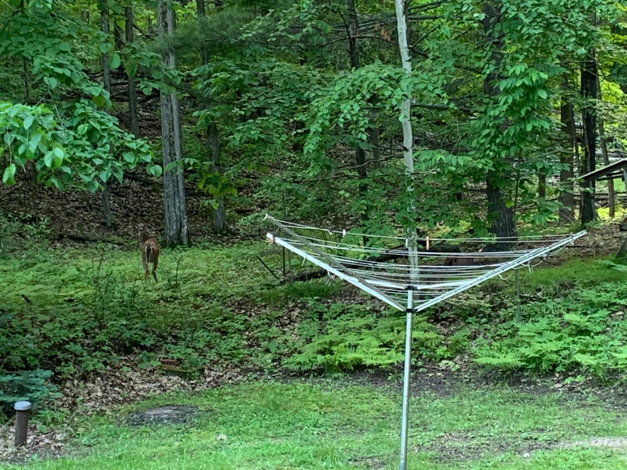 10619 West Rost Lake Road Coleman, WI 54112 - Photo 20 of 35 Gallery Image 20