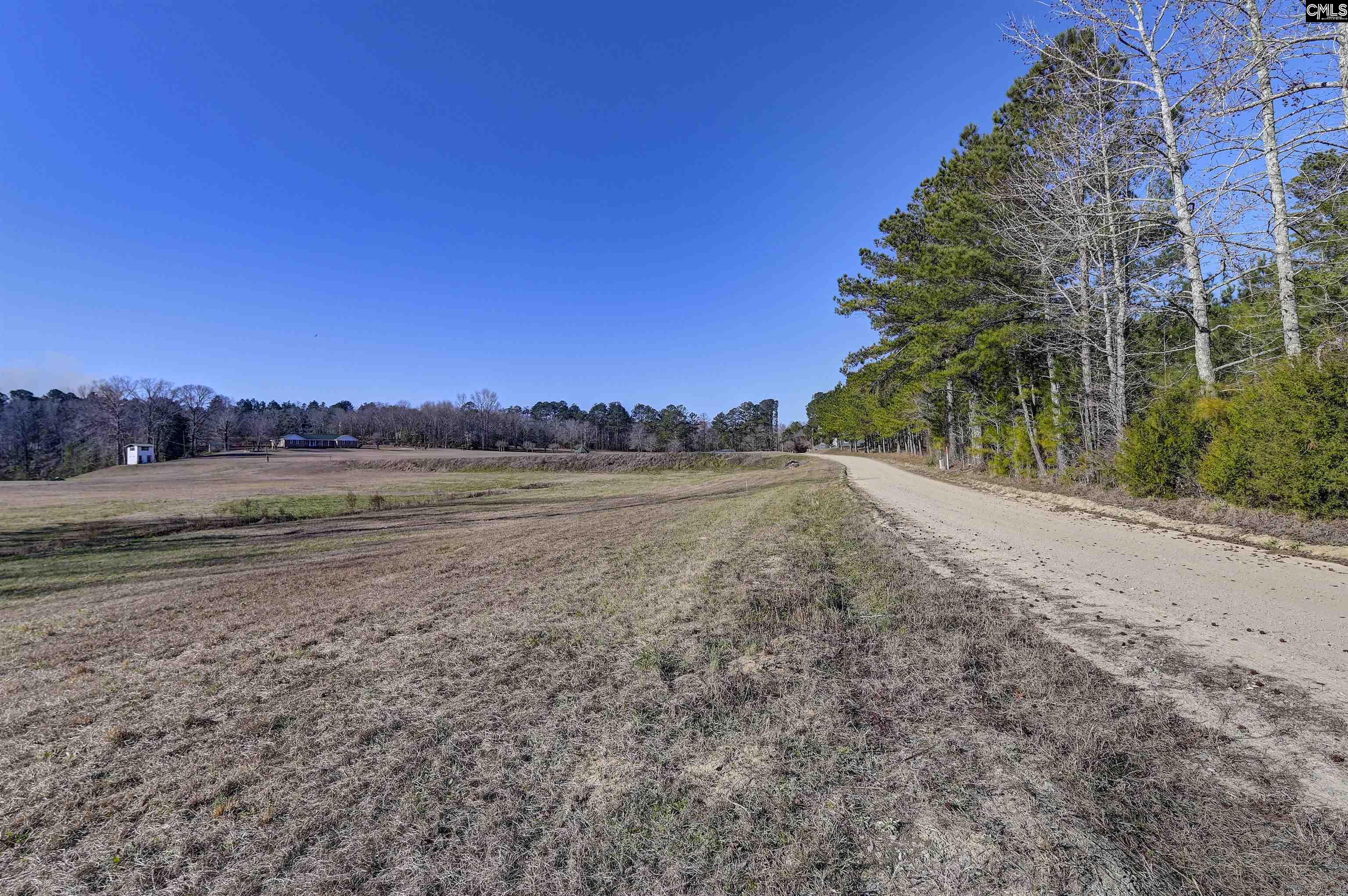 1717 Dixired Road Leesville, SC 29070 - Photo 14 of 15