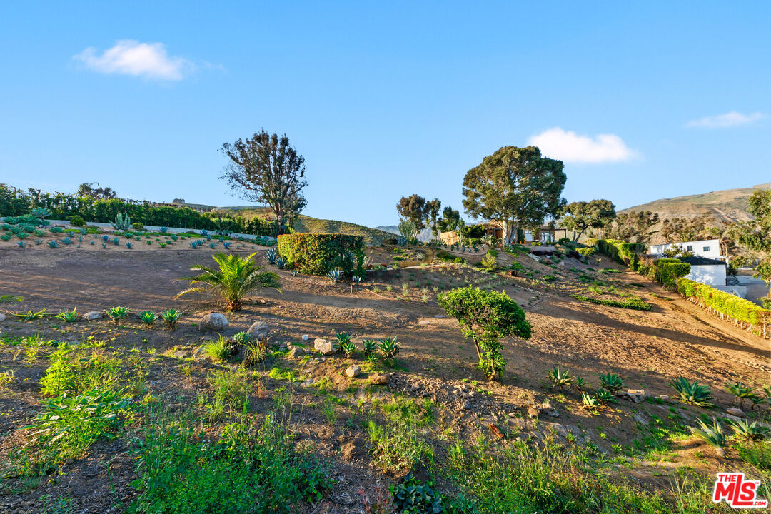 3240 Sumac Ridge Road Malibu, CA 90265 - Photo 45 of 48