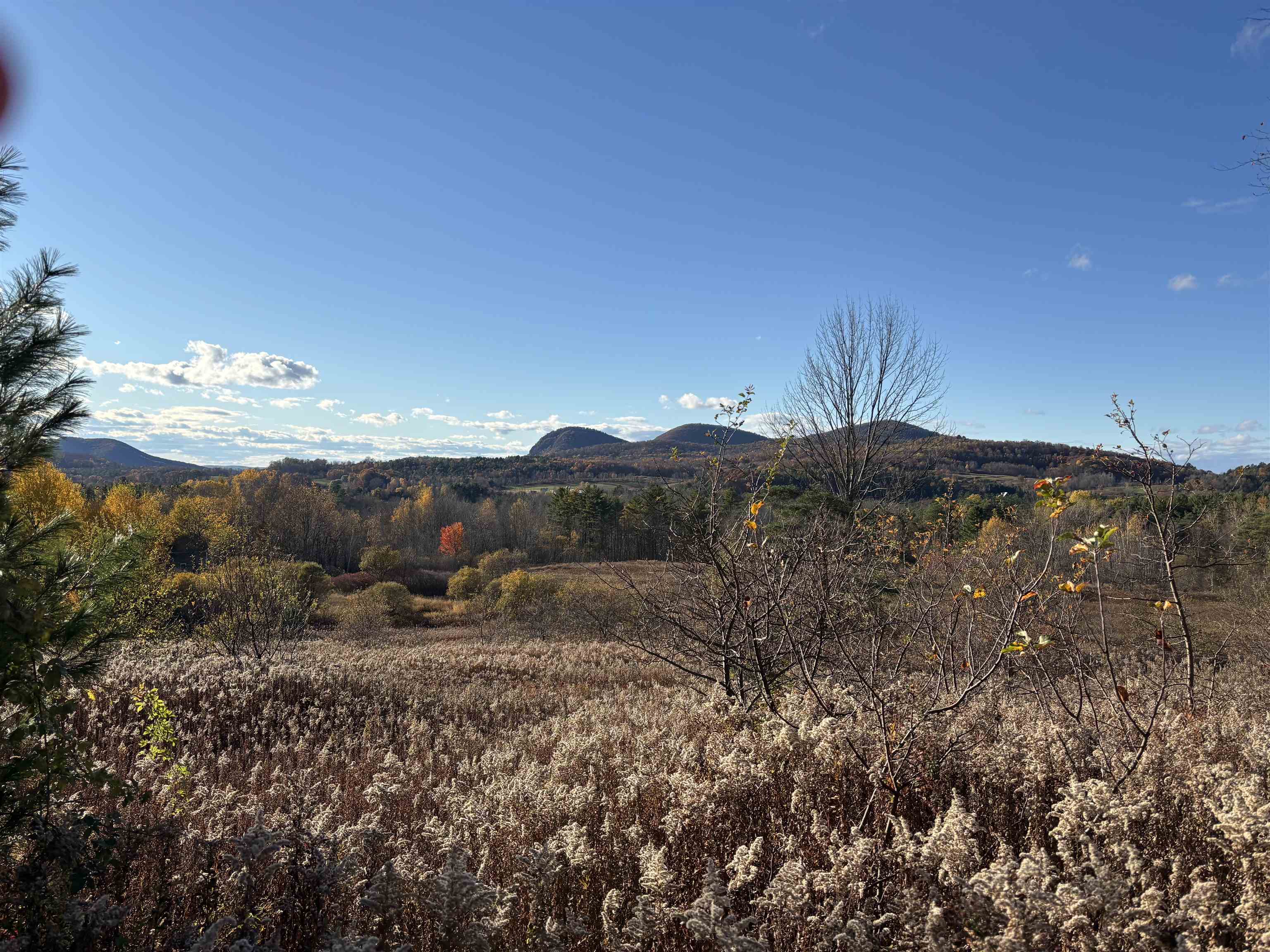 1267 Kelley Hill Road Pawlet, VT 05761 - Photo 45 of 48