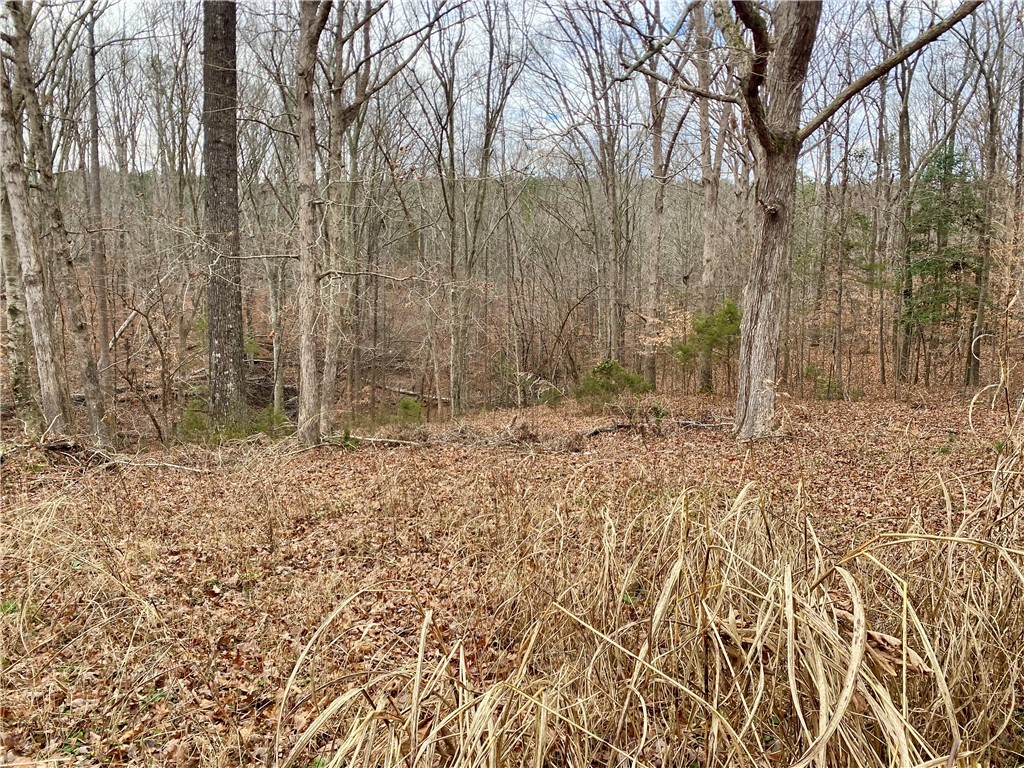 166 Lake Drive Ware Shoals, SC 29692 - Photo 11 of 50