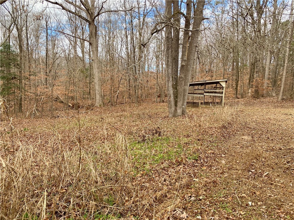 166 Lake Drive Ware Shoals, SC 29692 - Photo 12 of 50