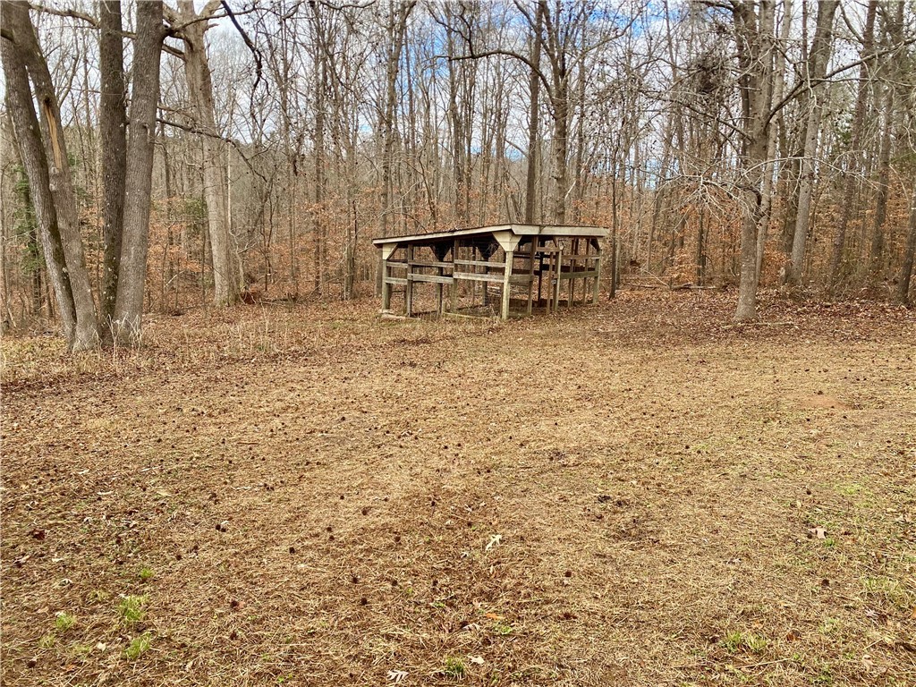 166 Lake Drive Ware Shoals, SC 29692 - Photo 17 of 50