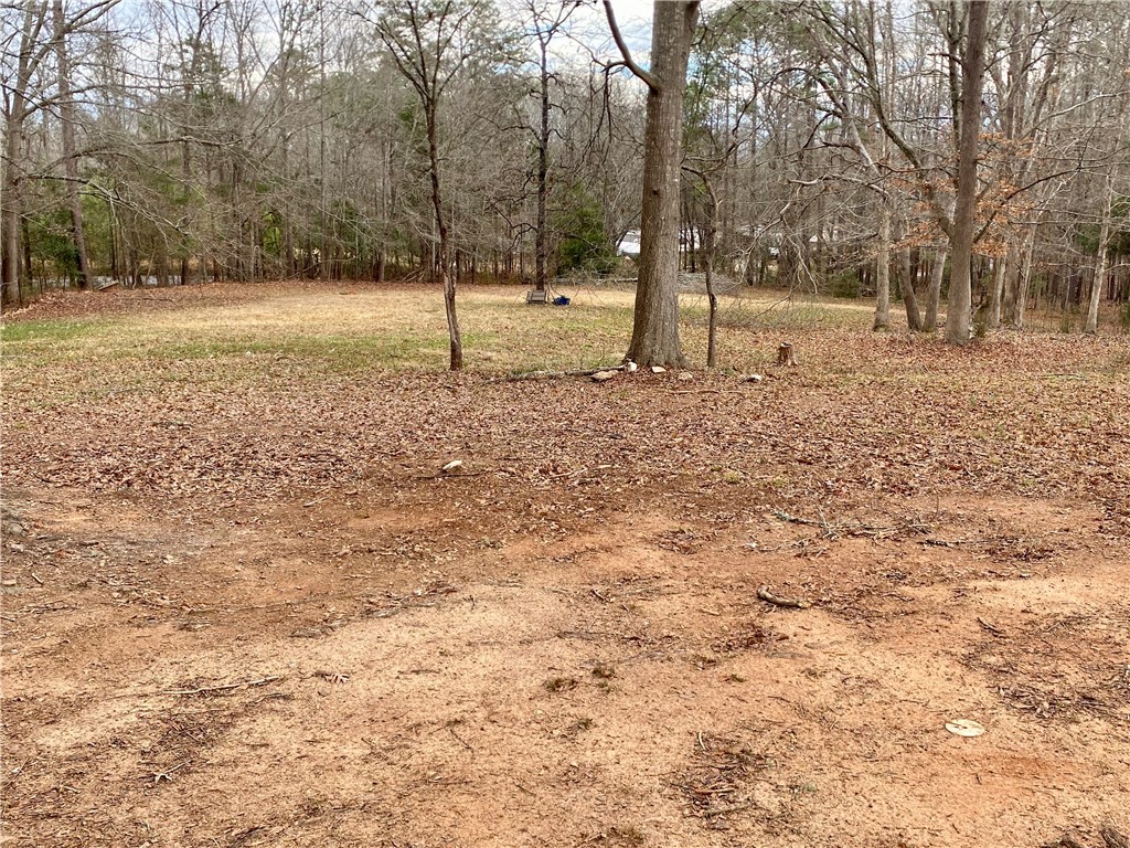 166 Lake Drive Ware Shoals, SC 29692 - Photo 4 of 50