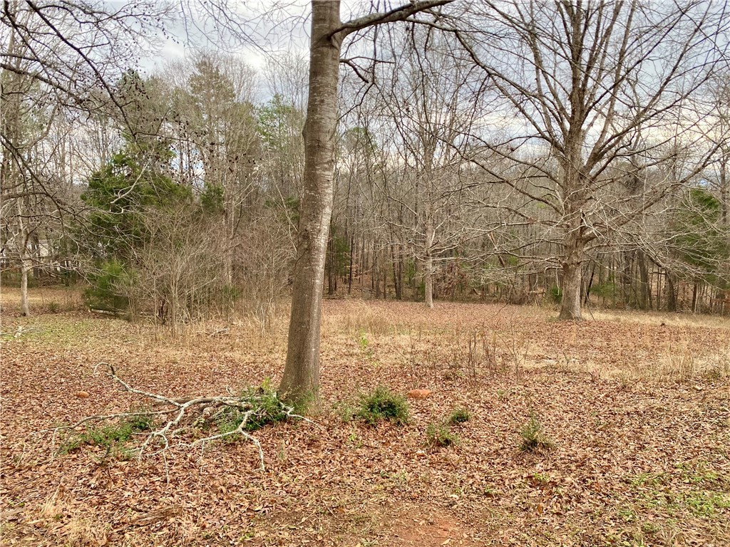 166 Lake Drive Ware Shoals, SC 29692 - Photo 7 of 50