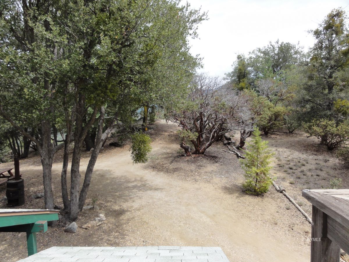 24810 Old Banning Road Idyllwild, CA 92549 - Photo 21 of 22 a view of a yard with plants and trees