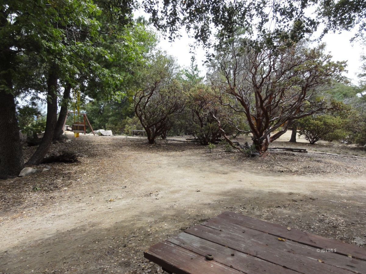 24810 Old Banning Road Idyllwild, CA 92549 - Photo 5 of 22 a view of backyard with green space